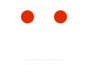 Byteframe